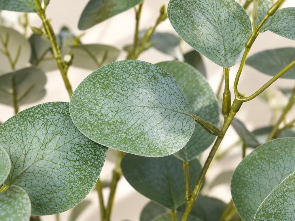Close-up of artificial eucalyptus leaves with rounded shapes and natural-looking green tones